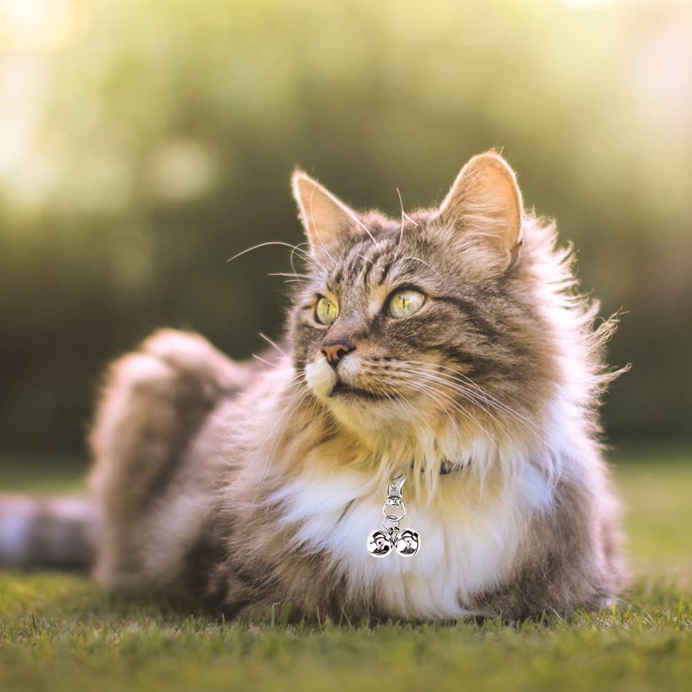 EXPAWLORER cloche et pendentifs, design argenté élégant pour animaux.
