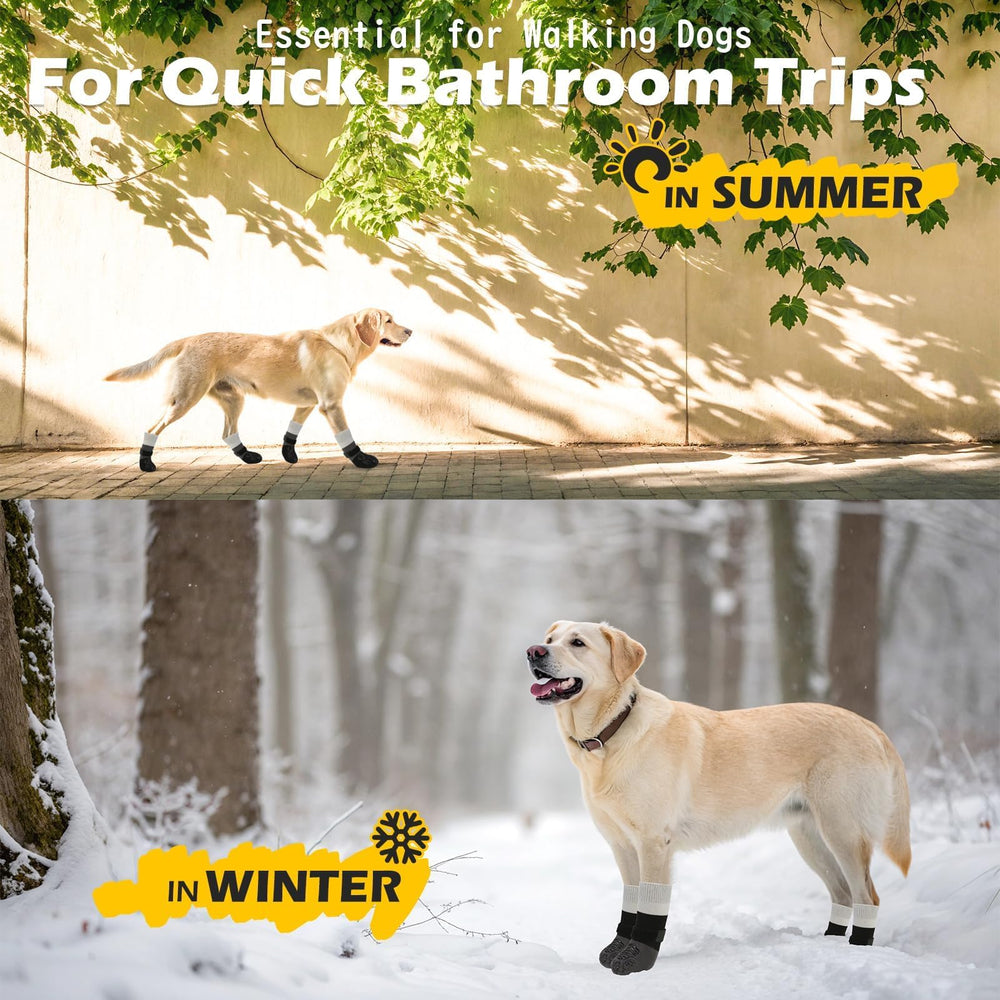 EXPAWLORER design coloré et moderne, accessoire pratique pour chiens.