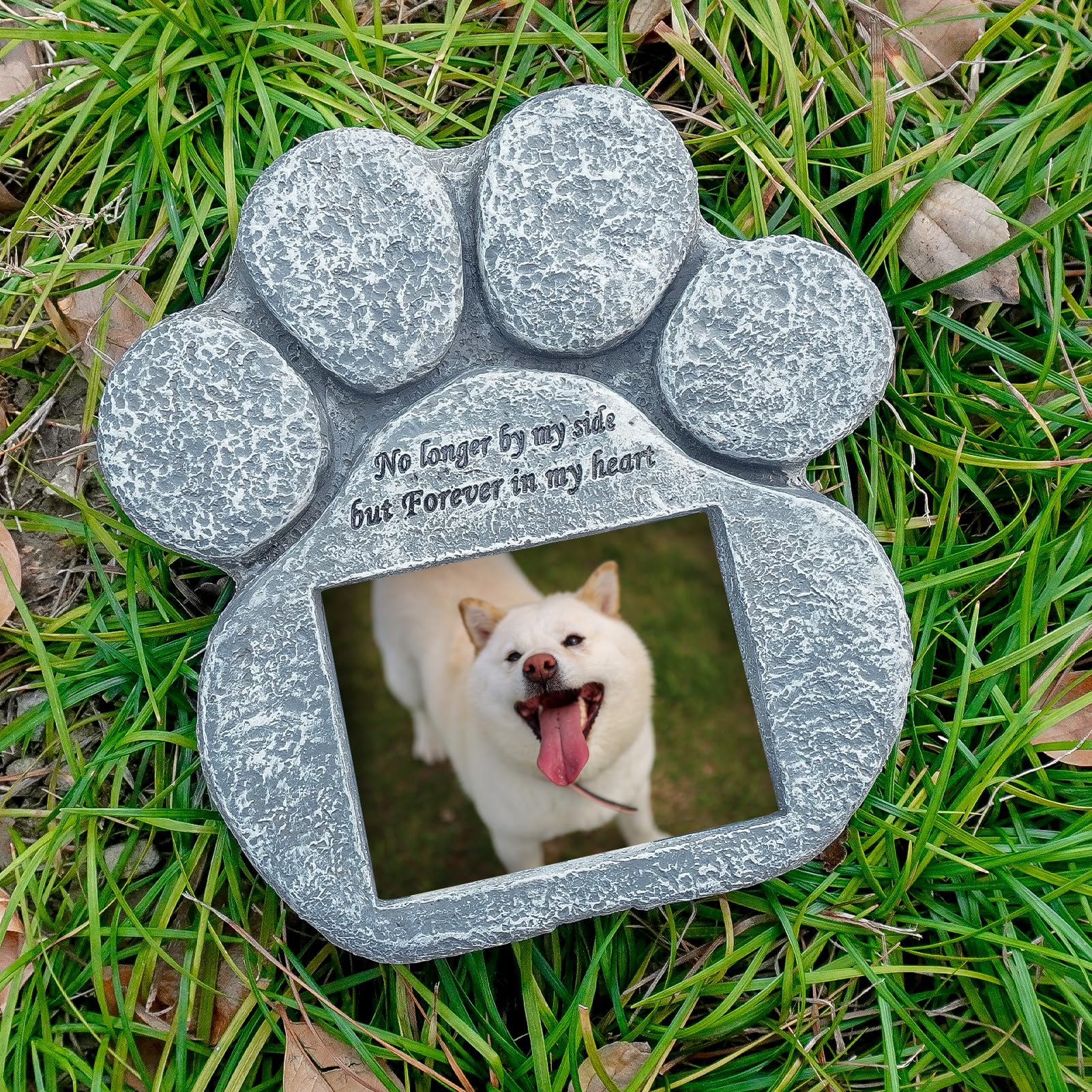 EXPAWLORER design-memoire-animale: design élégant qui honore la mémoire de votre compagnon.