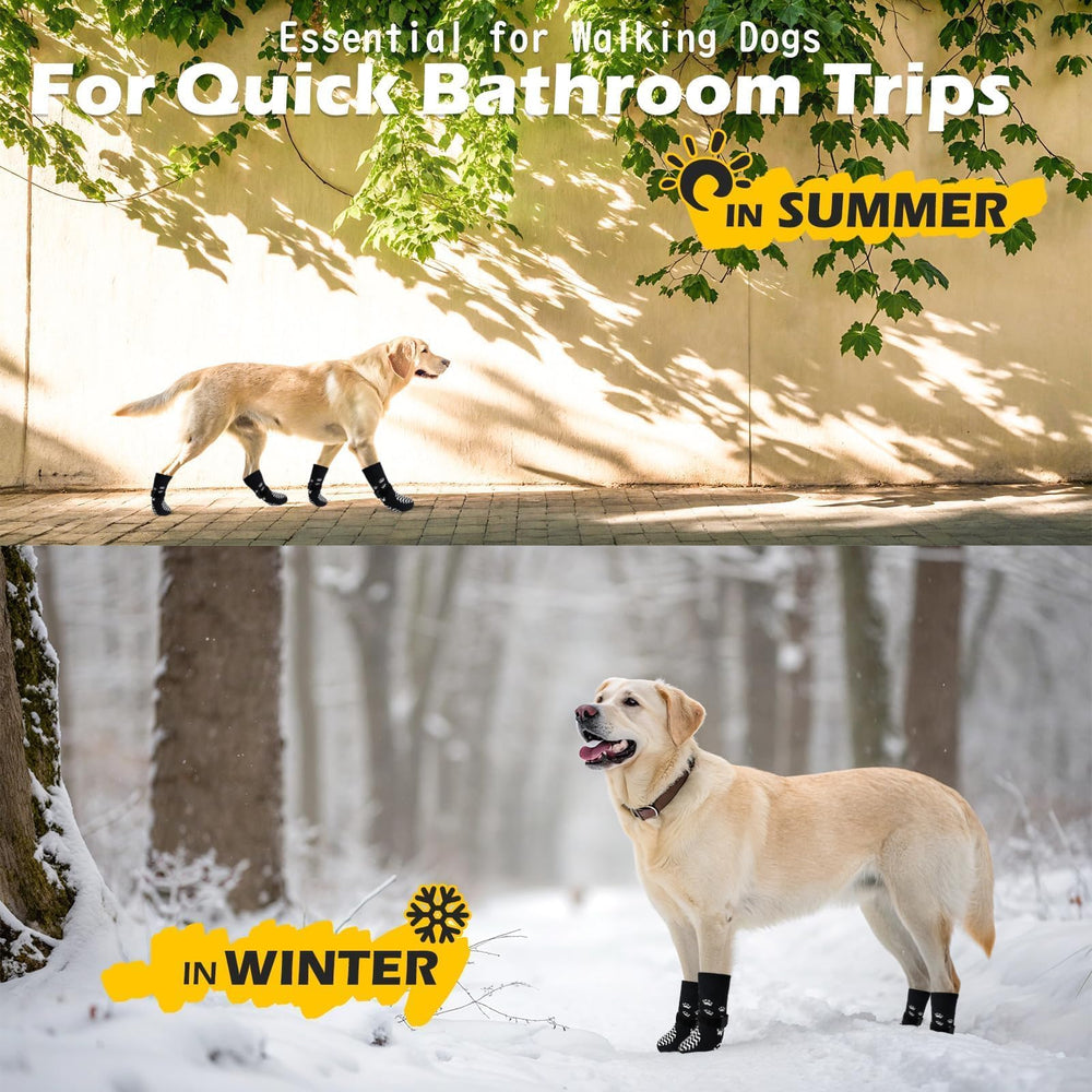 Protection et adhérence EXPAWLORER pour chiens actifs