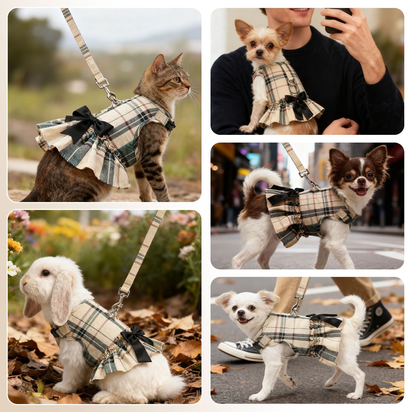 EXPAWLORER harnais-chien carreaux-beige, style princesse pour photos et fêtes