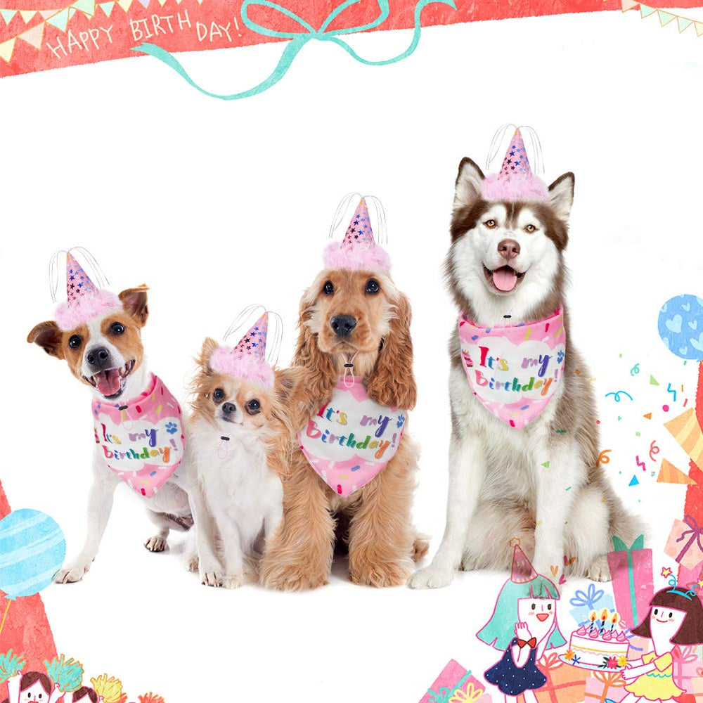 EXPAWLORER jouet-gateau-grince-anniversaire, divertissement interactif pour chien.