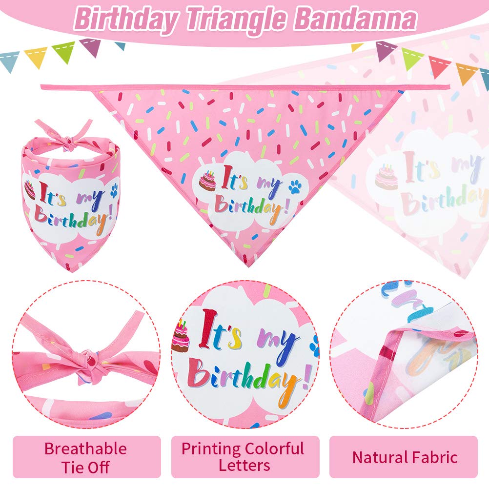 EXPAWLORER jouet-gateau-peluche-anniversaire, peluche avec couinement pour plus de divertissement.