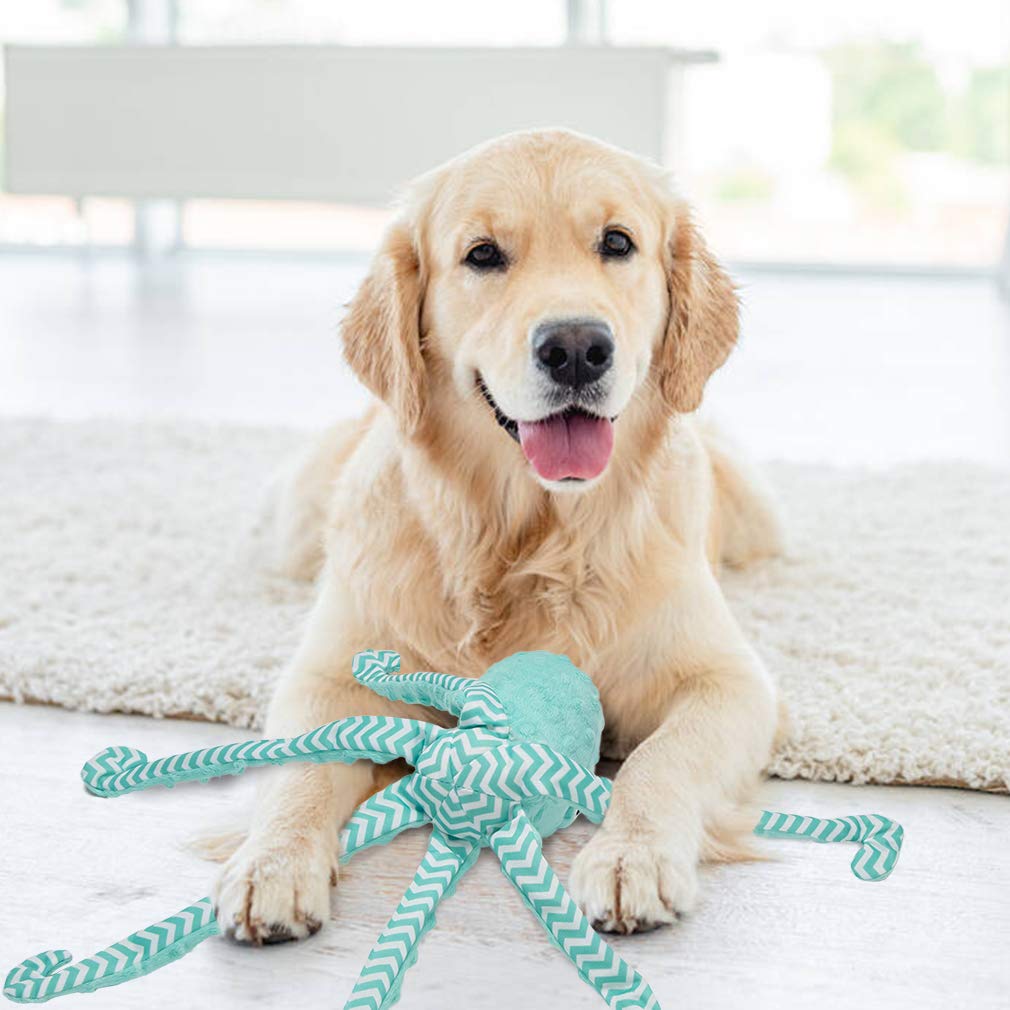 EXPAWLORER Pieuvre, cadeau mignon et stimulant pour chien.