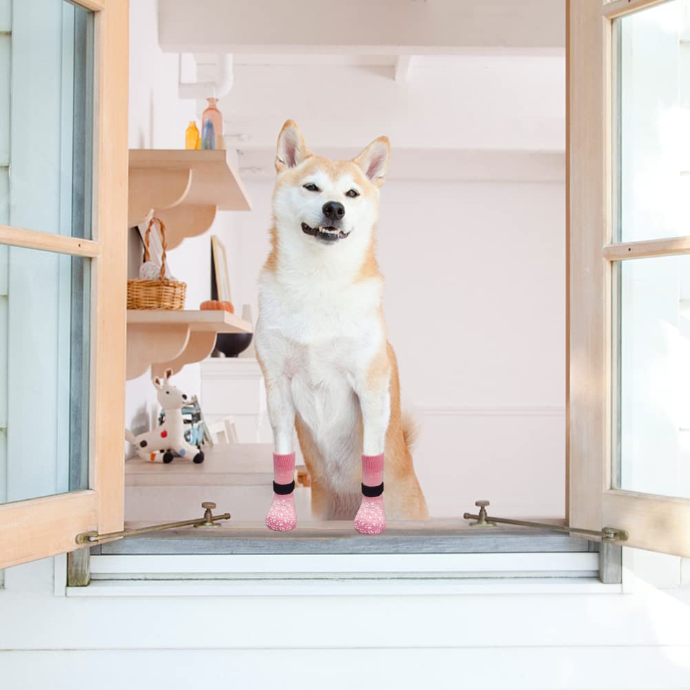 EXPAWLORER protection pattes contre chaleur et surfaces rugueuses pour chiens actifs.