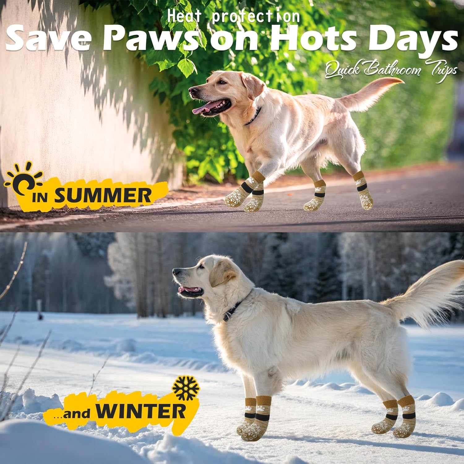 EXPAWLORER sécurité sur planchers en bois protégeant les pattes du chien.