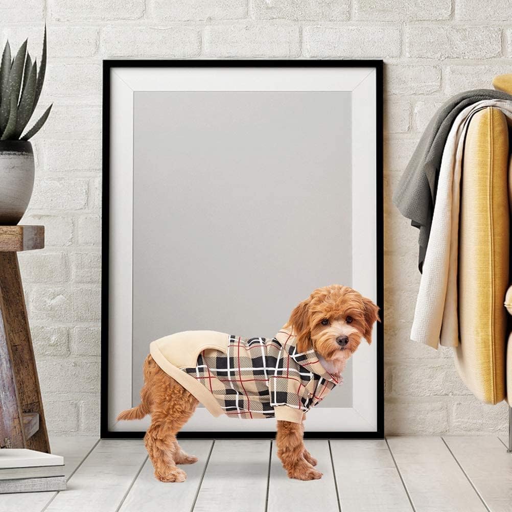EXPAWLORER tailles variées pour s'adapter à la plupart des chiens et chats.
