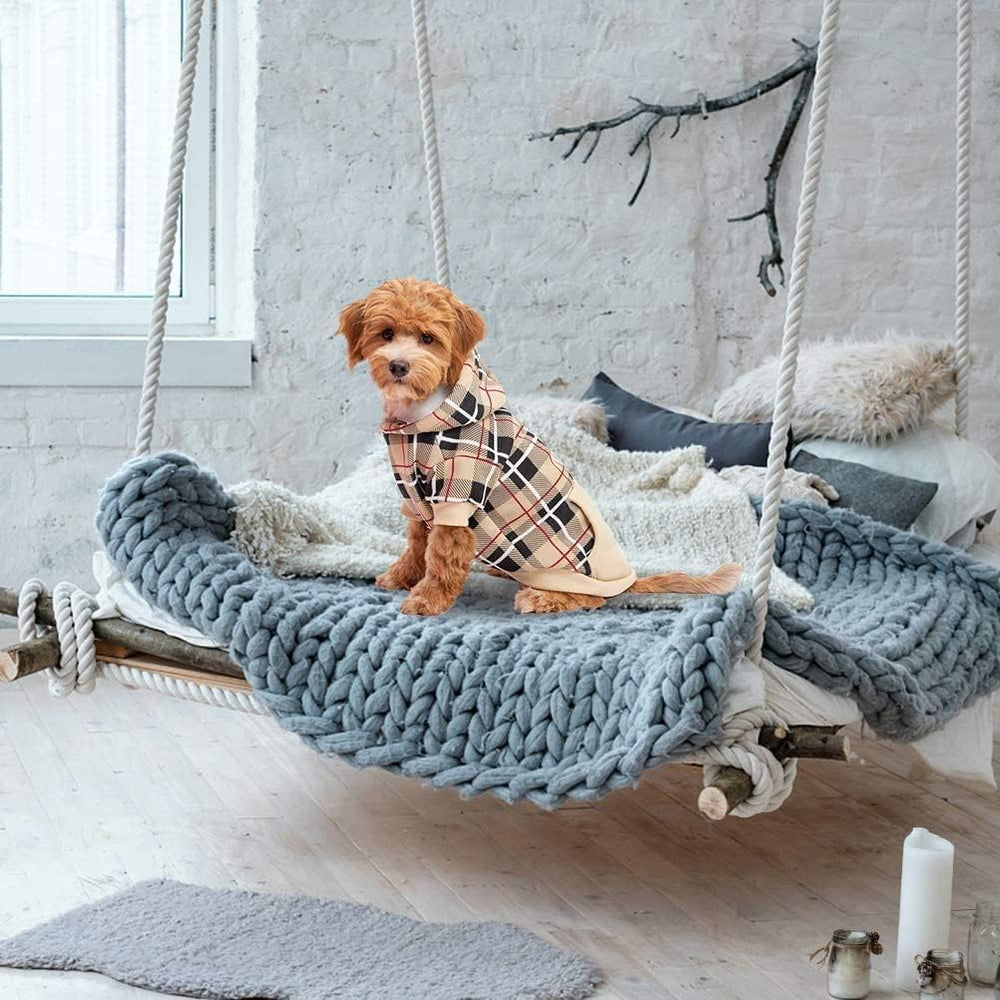 EXPAWLORER hoodie chien avec trou laisse idéal pour balades en extérieur