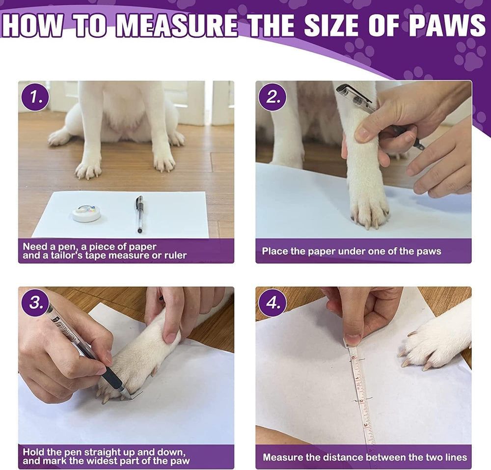 EXPAWLORER usage quotidien pour patte de chien sur divers surfaces.
