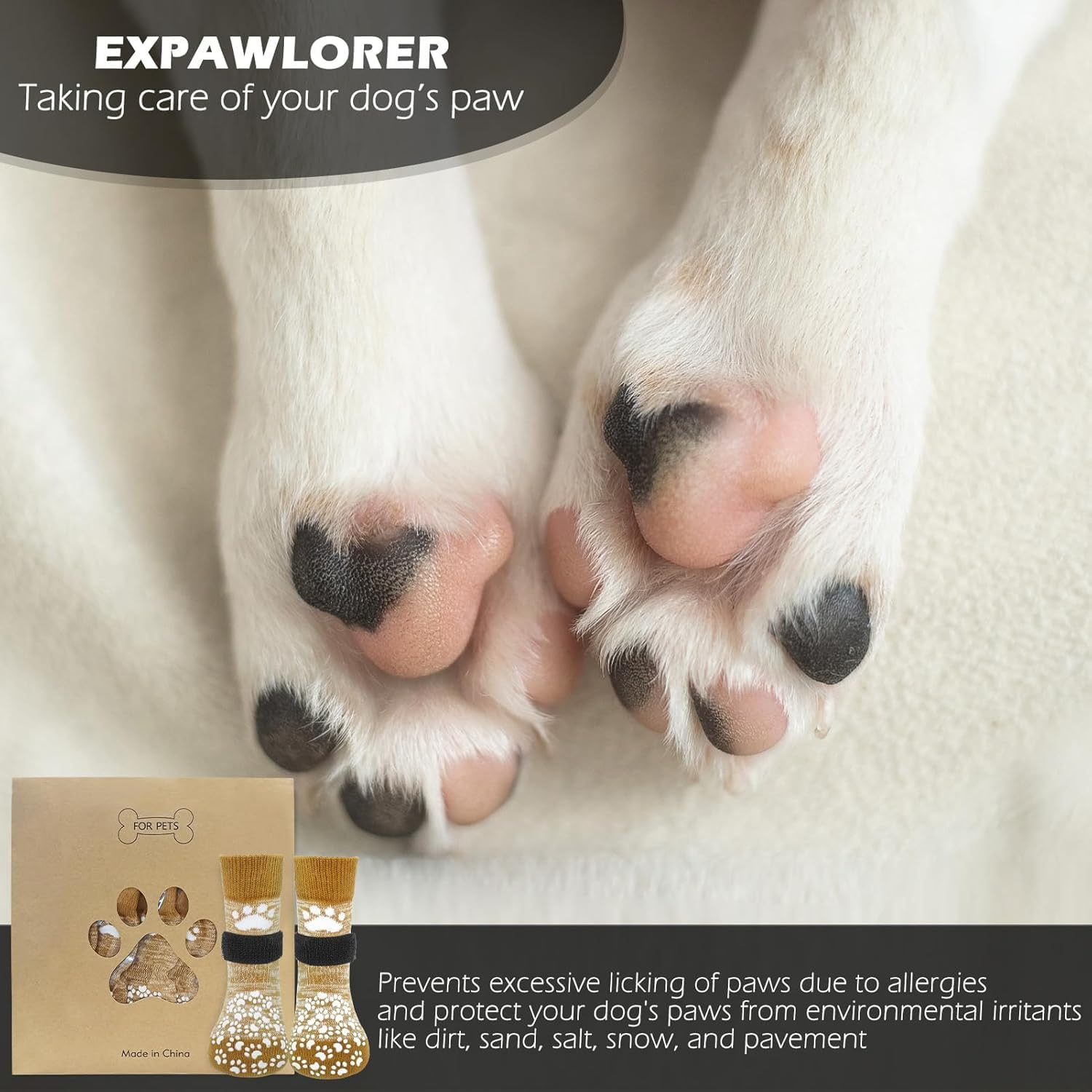 EXPAWLORER utilisation quotidienne à la maison pour le confort du chien.