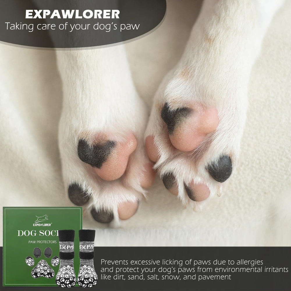 EXPAWLORER chaussettes sangles elastiques ajustement sûr.