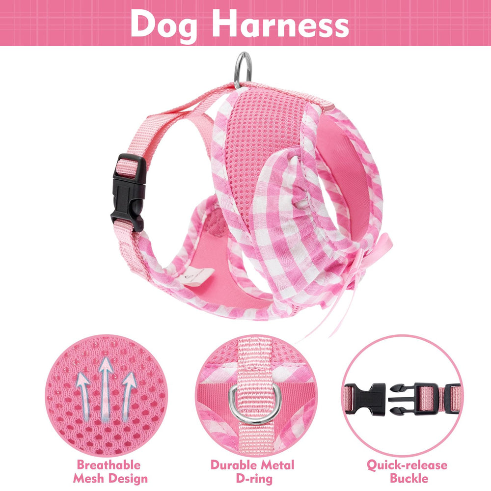 EXPAWLORER laisse rose de 59 pouces, pratique pour les sorties longues.