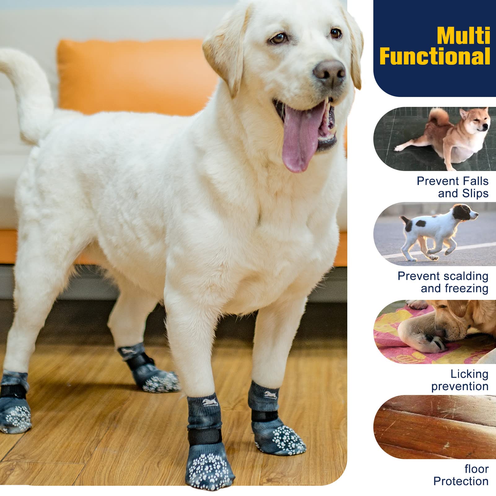 EXPAWLORER protection des pattes contre sols durs et surfaces rugueuses