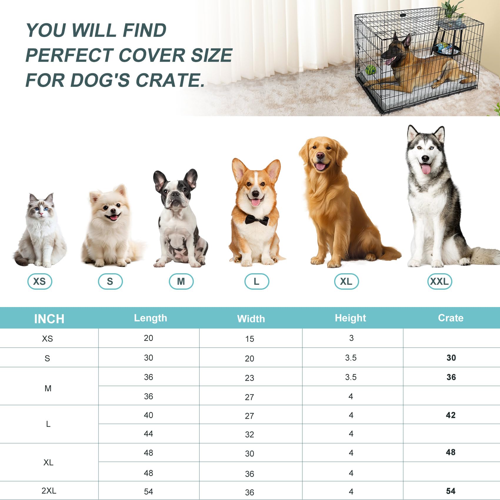 Explore Land renfort canvas côtés gris, résistance pour chiens actifs