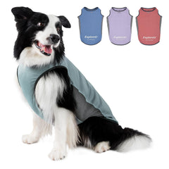 ExploreU gilet refroidissant chien leger: confort frais lors des journées chaudes.