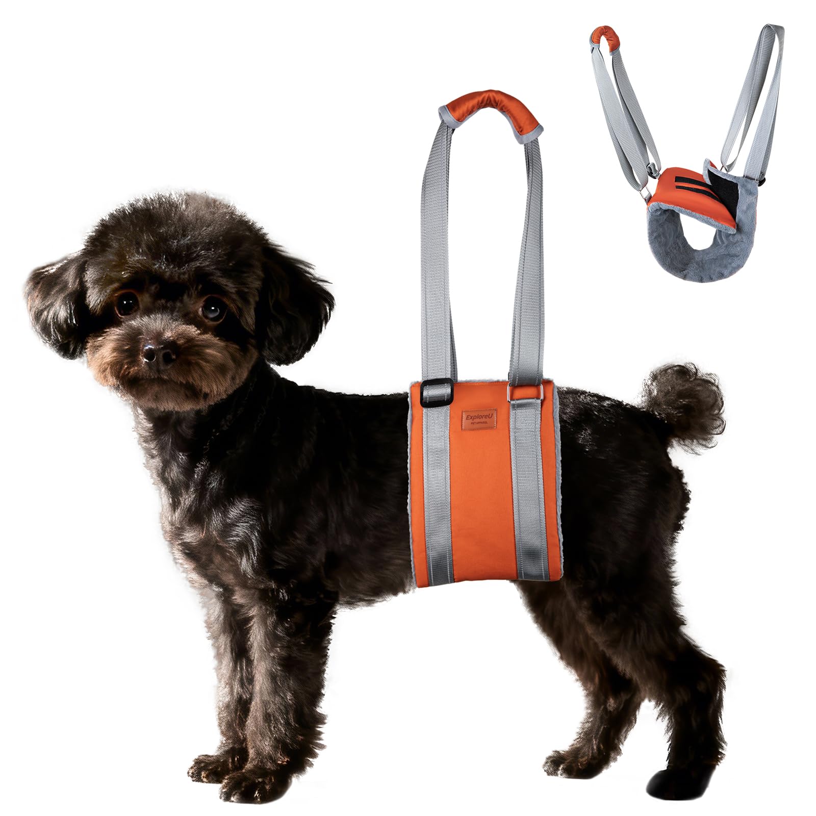 ExploreU harnais chien: soutien dos pour aider à monter et descendre