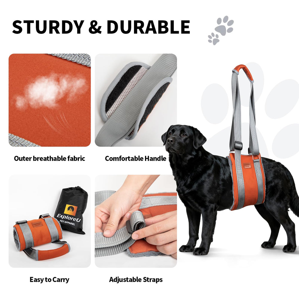 ExploreU Sling Chien Sécurité en voiture - maintien fiable pendant les trajets.