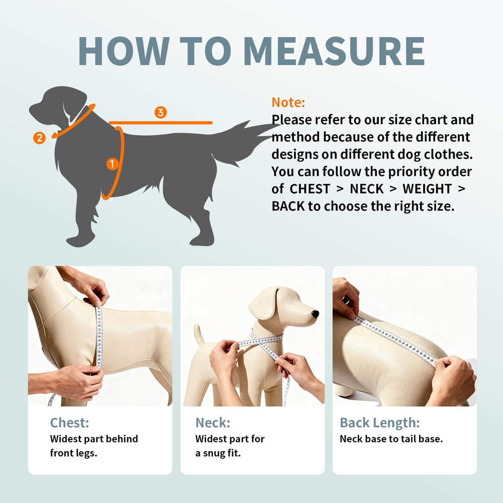 ExploreU utilisation ete exterieur chien: idéal pour les sorties estivales et l'extérieur.