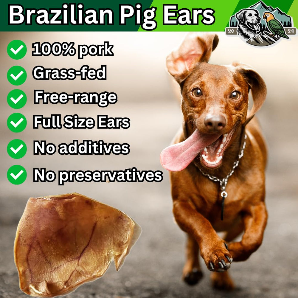 Exquisite Pets oreilles porc roti origine Brésil, élevage en pâturage