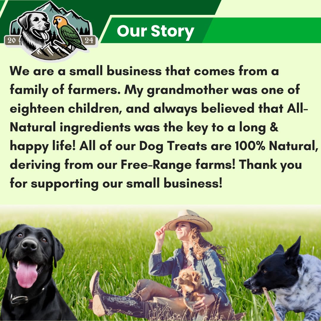 Exquisite Pets économie pack, lot pratique pour chiens