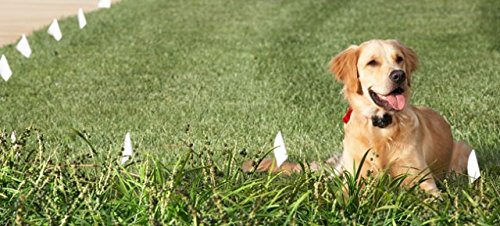 Extreme Dog Fence – revêtement HMW polyethylene protège UV et eau pour durabilité.