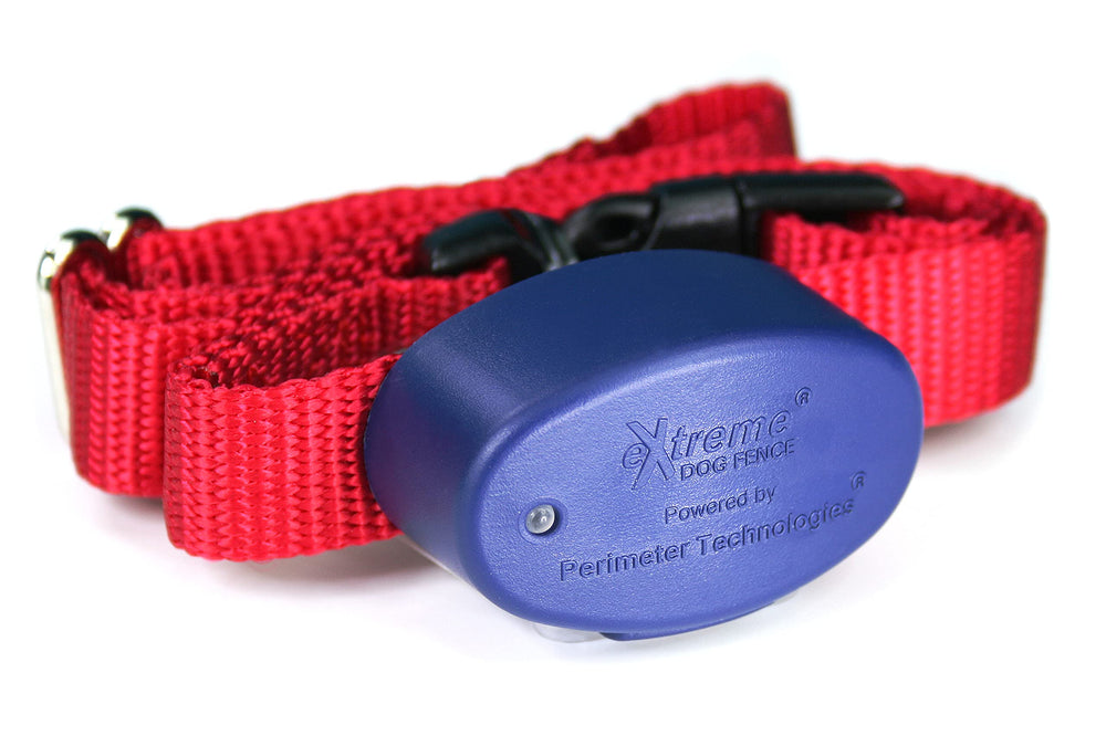 Collier actif Extreme Dog Fence pour ajout fiable au système