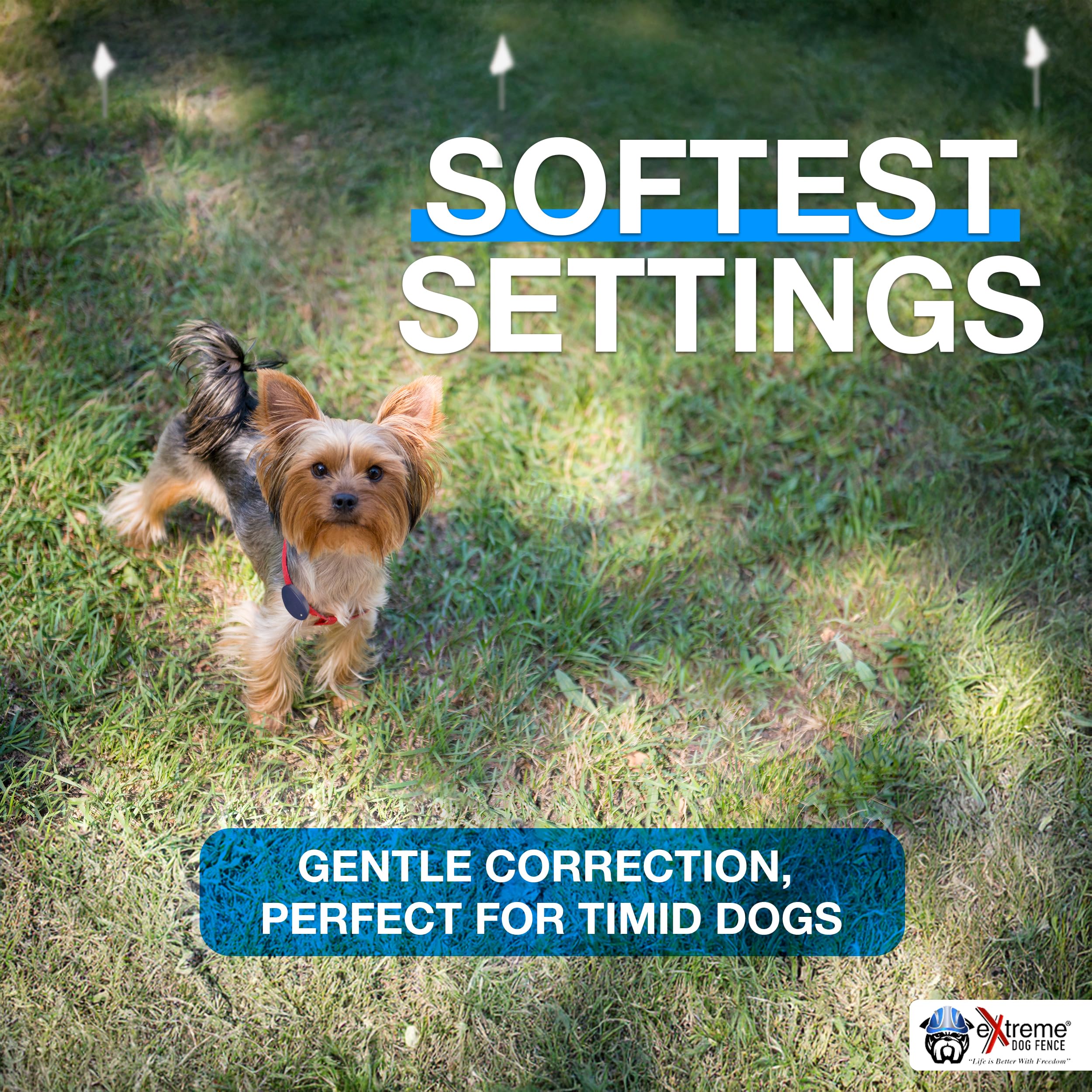Extreme Timid Dog Fence : fil souterrain 500ft, couverture adaptée pour petit jardin.