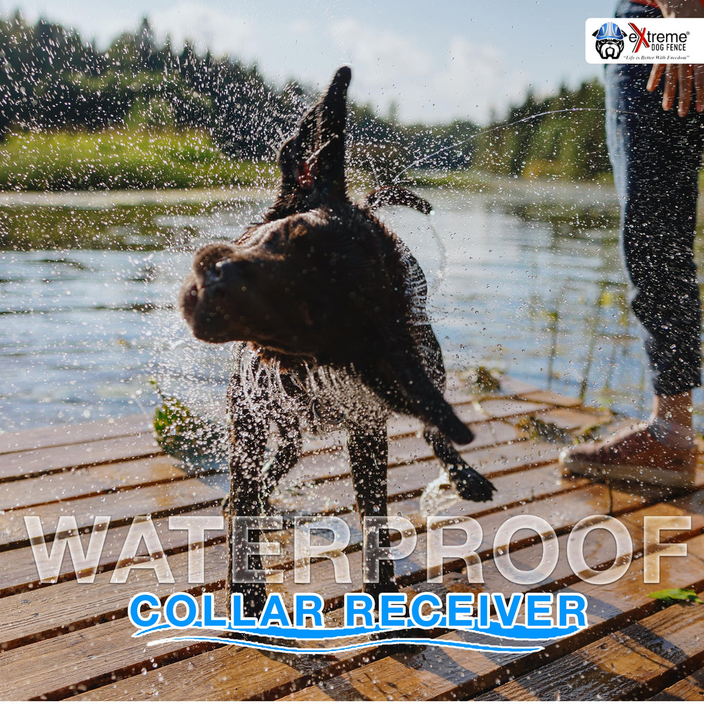 Extreme Dog Fence - sondes confort avec protections pour ajustement doux