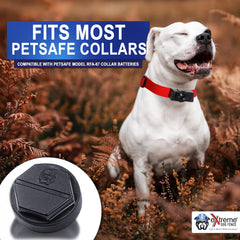 Extreme Dog Fence remplacement pile RFA67 insertion facile avec outil