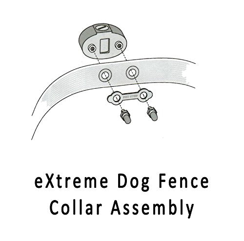 Extreme Dog Fence fabrication États-Unis avec pièces importées pour plus de fiabilité.