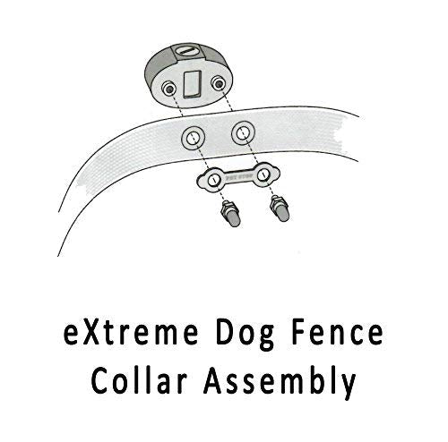 Extreme Dog Fence kit complet: outils et pièces pour démarrer rapidement.