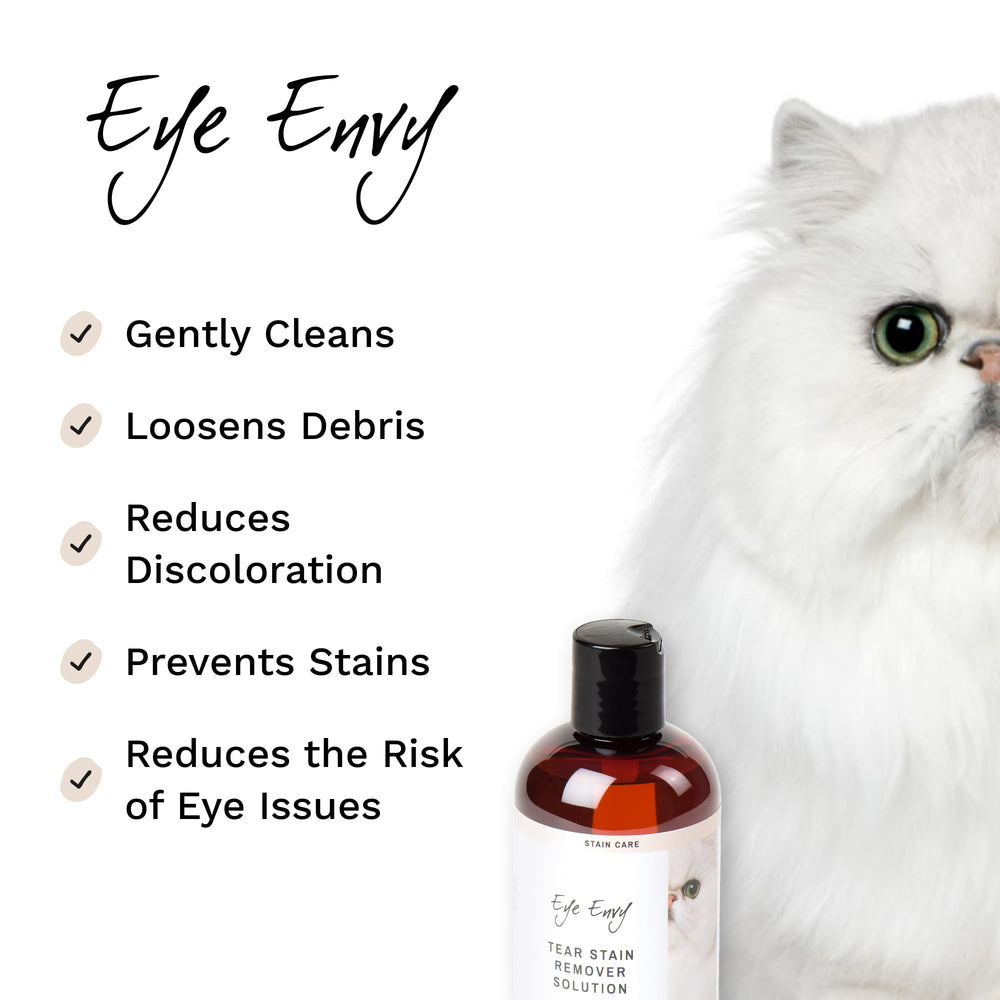 Eye Envy: Tampon d'application doux facilitant l'entretien des yeux