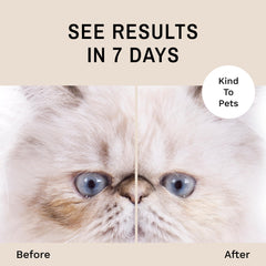Eye Envy: Nettoyage de la zone oculaire pour résultats progressifs