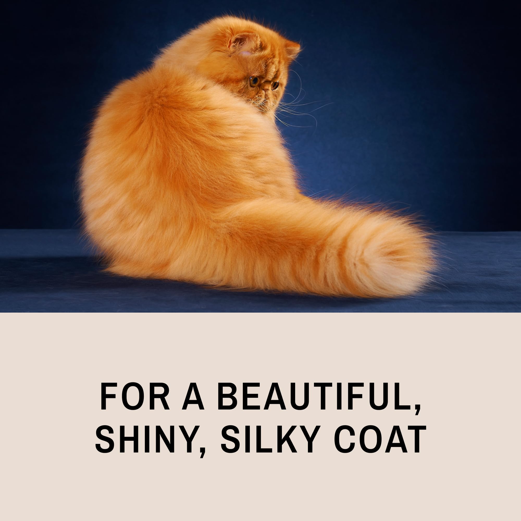 Eye Envy ProGlide prévient les nœuds et les peluches.