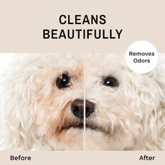 Eye Envy sans larmes, nettoyant doux pour chiots et chatons