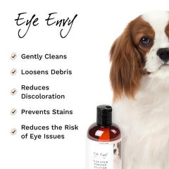 Eye Envy – tampons applicateurs doux facilitant l’application.