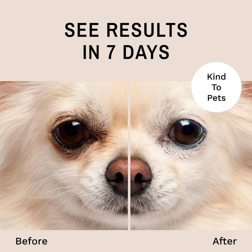 Eye Envy – zone autour des yeux nettoyée après utilisation régulière.