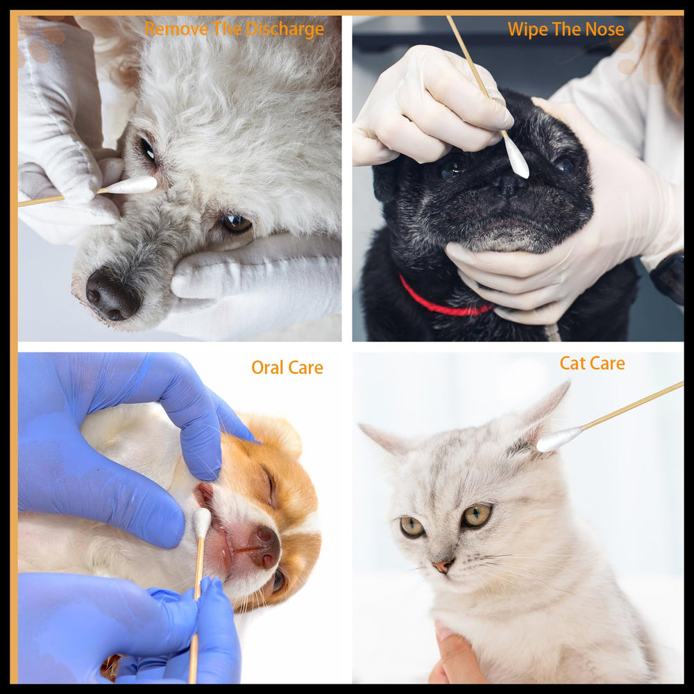 eyxformula coton-tiges longs 6pouces: utilisation oreilles chiens pour le nettoyage régulier.