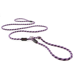 Luca laisse-slip 2-en-1 d'EzyDog, pratique pour promenades sans effort