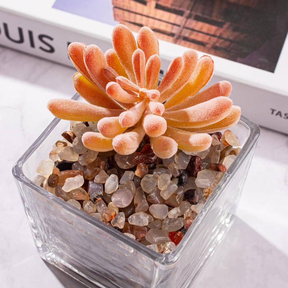 EZEELAI agate blanc décor aquarium, embellit le décor