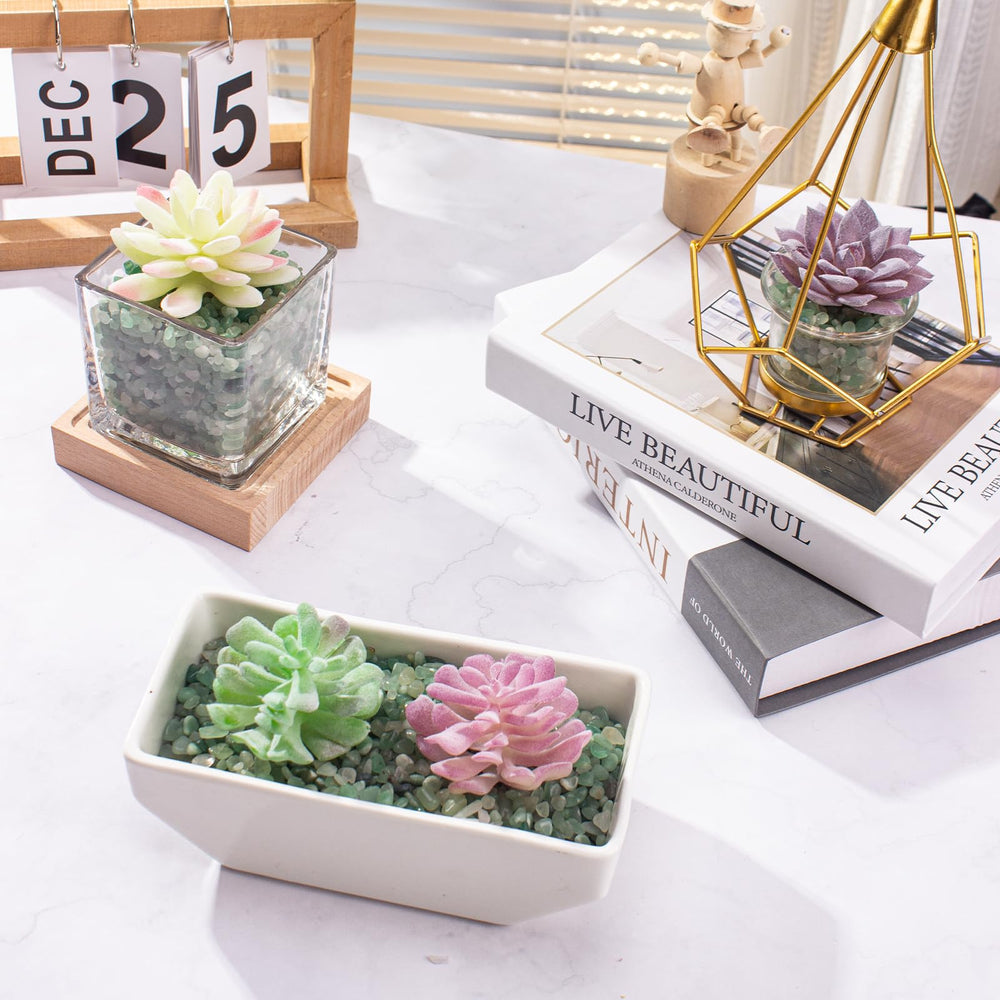 EZEELAI Petits morceaux pour aquariums et plantes, décor durable.