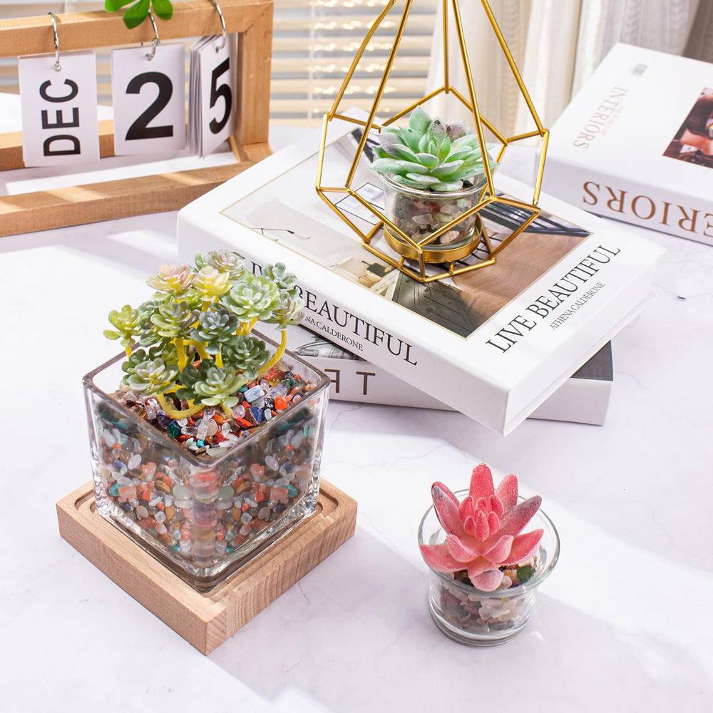 EZEELAI chips chakra pour plante succulente, apporte vitalité visuelle.