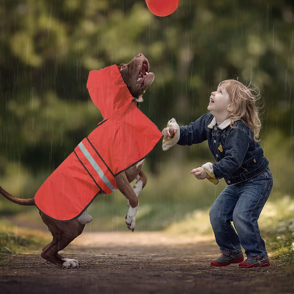 Capuche reglable Ezierfy pour chien, protection de la tête