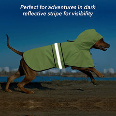 Capuche ajustable du manteau Ezierfy protégeant la tête du chien.