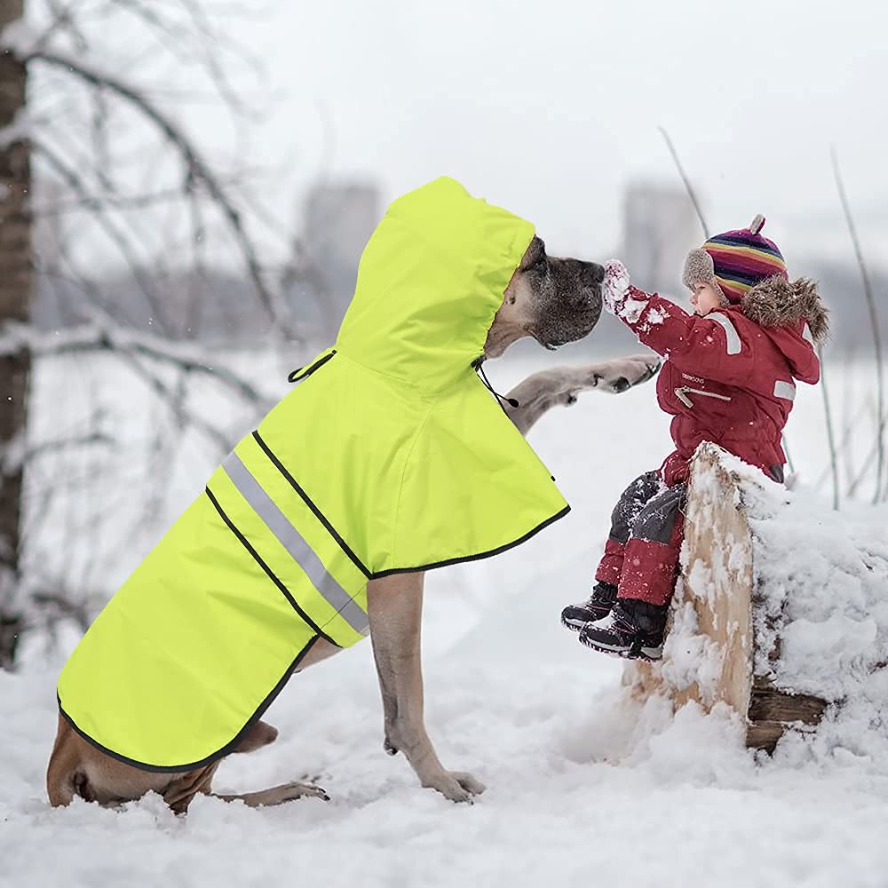 Ouverture pour laisse intégrée pratique avec le manteau Ezierfy.