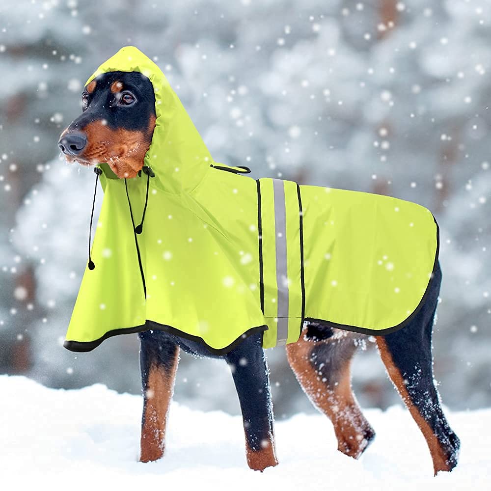 Manteau Ezierfy taille XL pour chiens de grande taille.