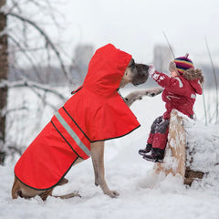 Poncho chien reglable avec bretelles pour un ajustement sûr