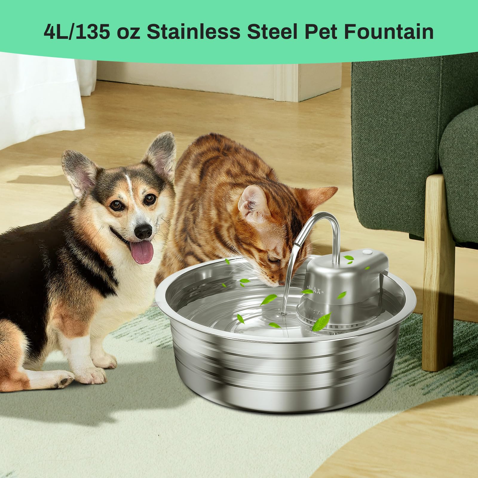 Fontaine EZMioo idéale pour plusieurs animaux en intérieur.
