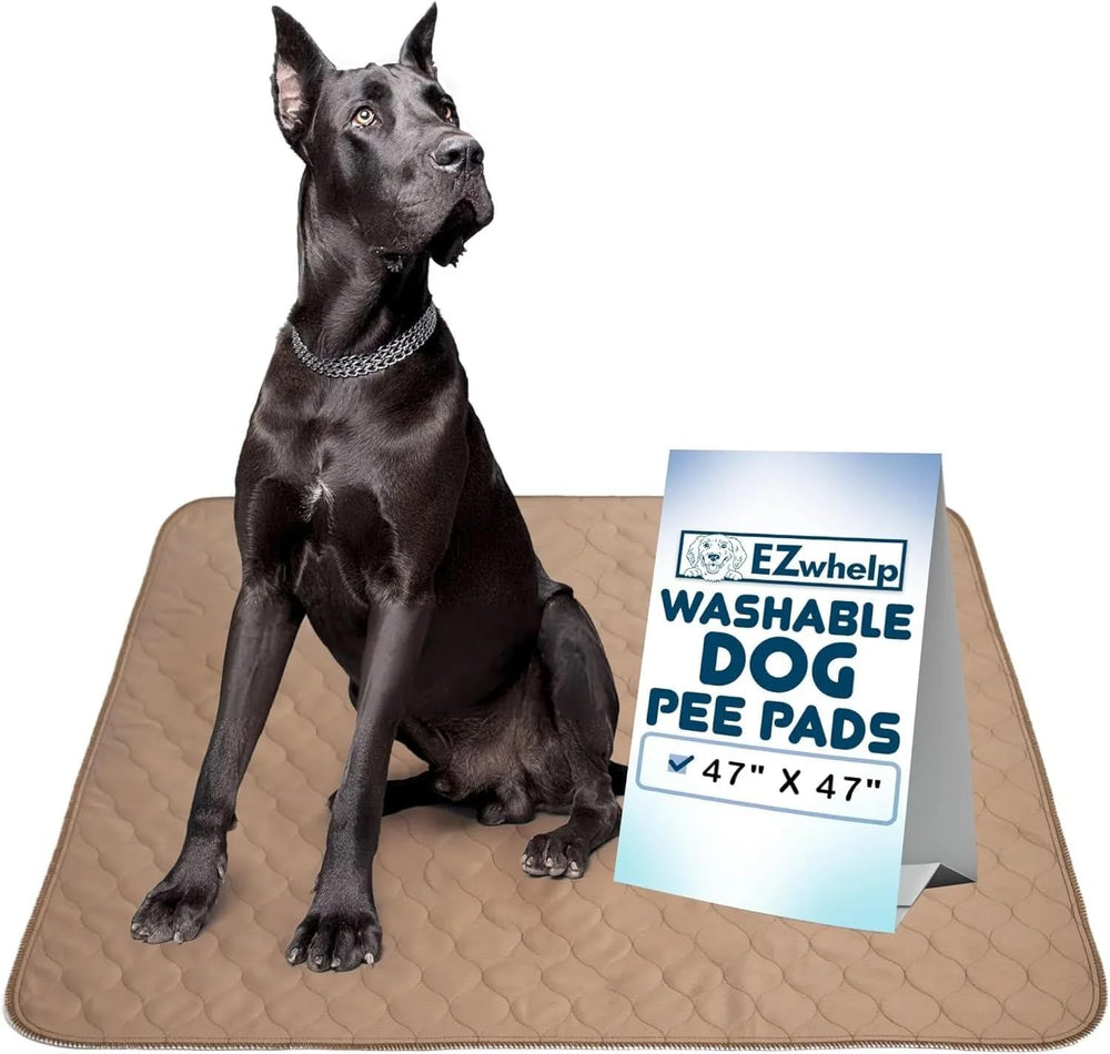 EZwhelp tapis absorbant pour chiens, haut couleur café protège les sols.