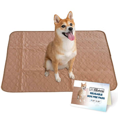 EZwhelp tapis absorbants pour chien, surface douce et efficace pour les besoins quotidiens.